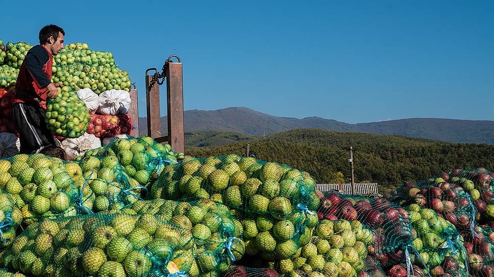 Какое производство фруктовых наполнителей под Воронежем запланировала компания НаDO