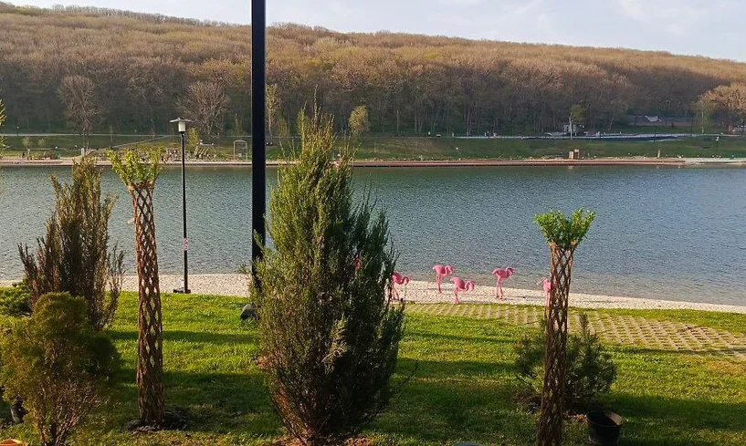 В Ставрополе на Комсомольском пруду к началу купального сезона высадили плетеные ивы