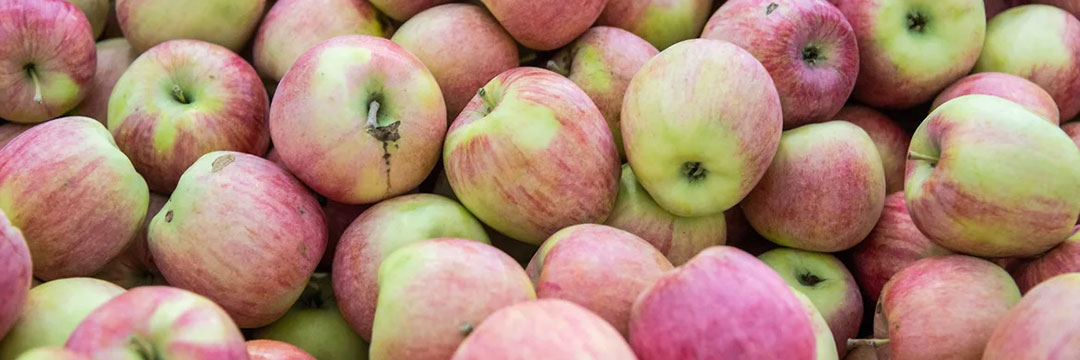 Холод в яблочко