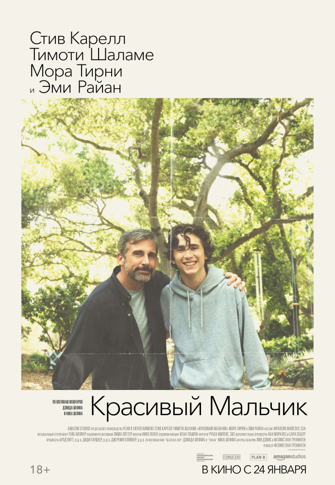 Красивый мальчик (Beautiful Boy, 2018)