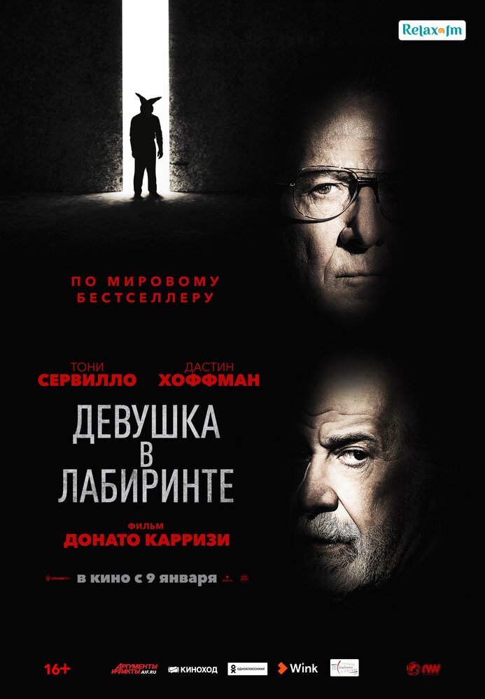 Девушка в лабиринте (L'uomo del labirinto, 2019)