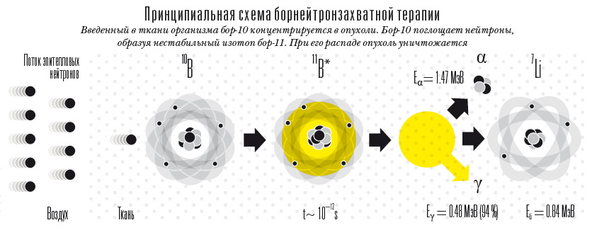 Принципиальная схема борнейтронзахватной терапии