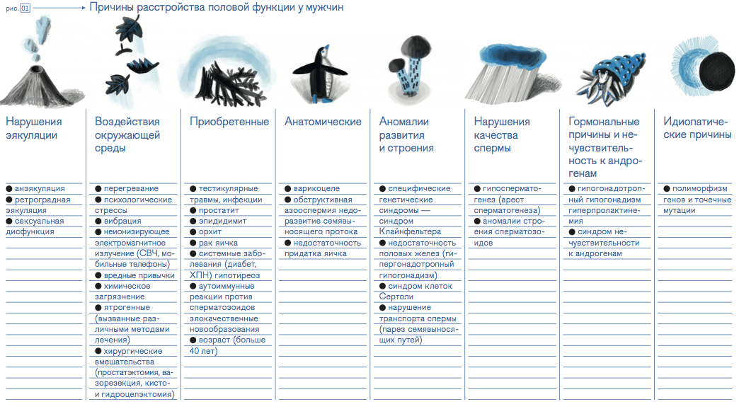 Рис. 1 — Причины расстройства половой функции у мужчин