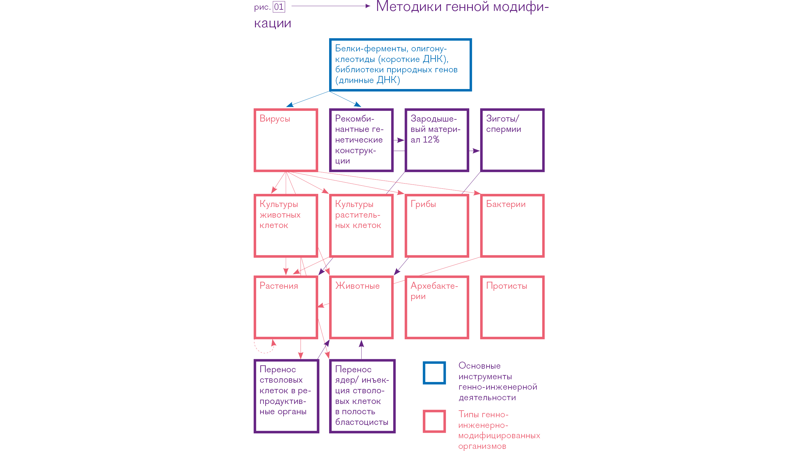 рис. 1￼ ￼ ￼ Методики генной модификации