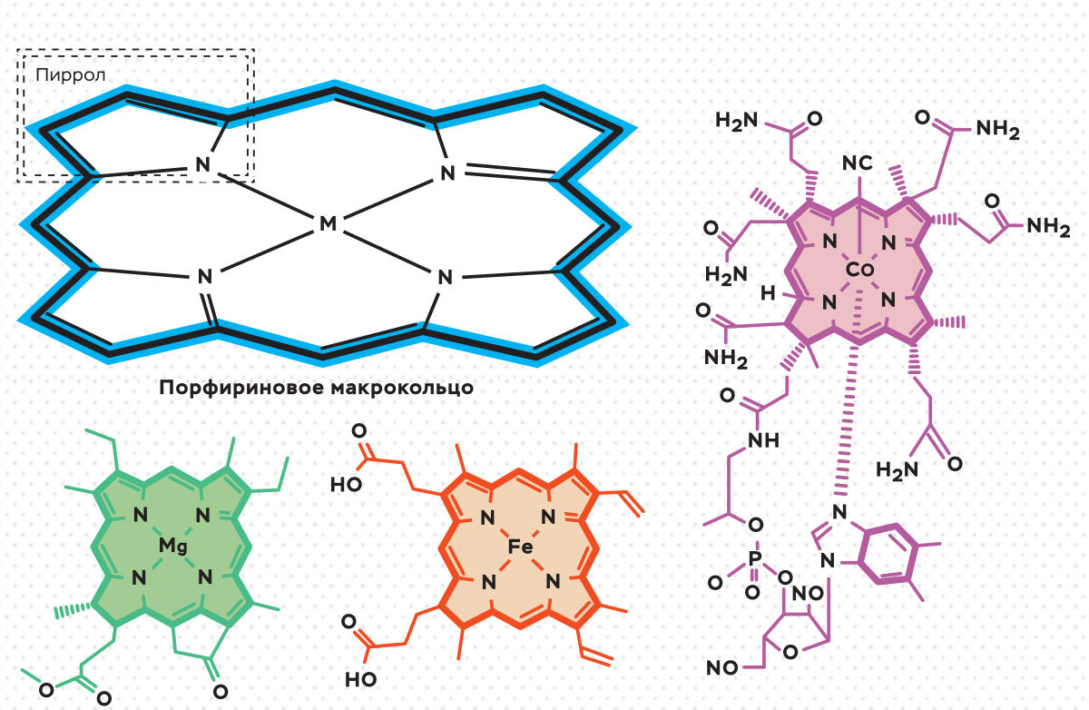 Строение базового структурного фрагмента – порфирина и природных тетрапиррольных комплексов – хлорофилла, гема и витамина B12