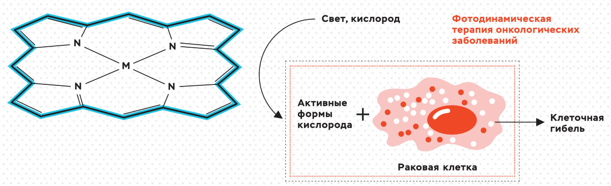 Принцип использования тетрапиррольных соединений в фотодинамической терапии онкологических заболеваний