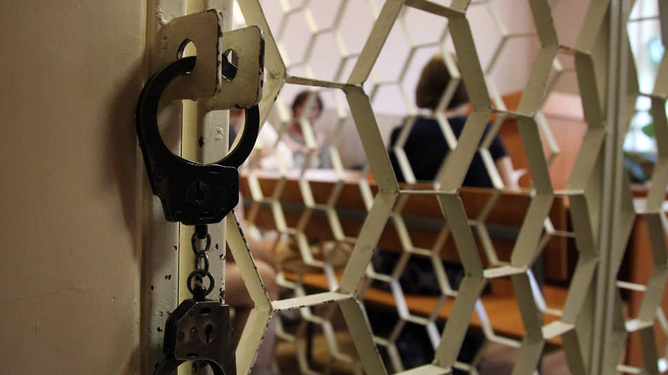 Всего правоохранителями в рамках расследования выявлено 20 детей, рожденных суррогатными матерями