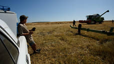 Сибирь наколосилась