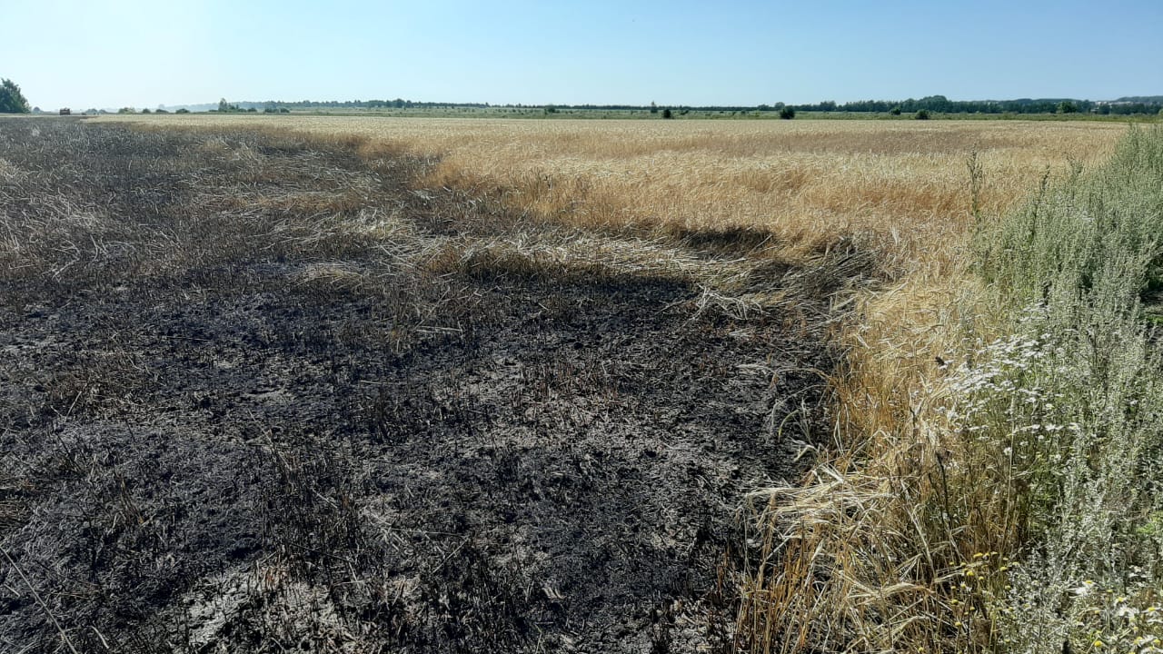 Фото: ГУ МЧС по Нижегородской области