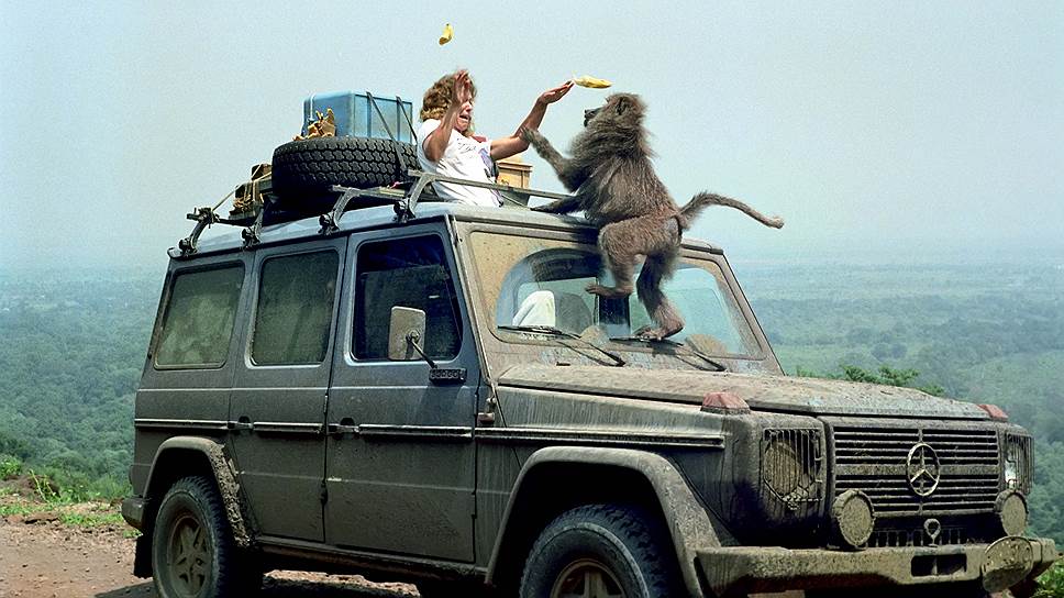 1989 год. Танзания. Акул и горилл Гюнтер в Африке не видел, но не признать опасность местной фауны было бы наивно. Саванна, кажется, только и ждет, когда путешественник расслабится. Однажды пришлось менять колесо в непосредственной близости ото львов. Настоящая напасть -- агрессивные бабуины, которые нападают группами, могут воровать вещи, а то чего доброго и закусать.  