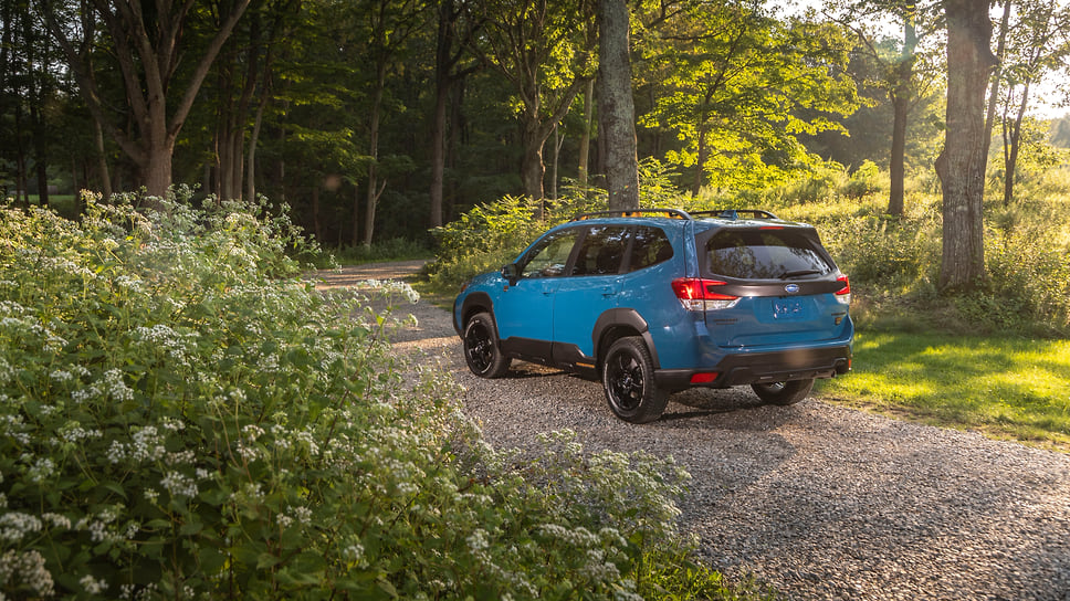 Subaru Forester Wilderness