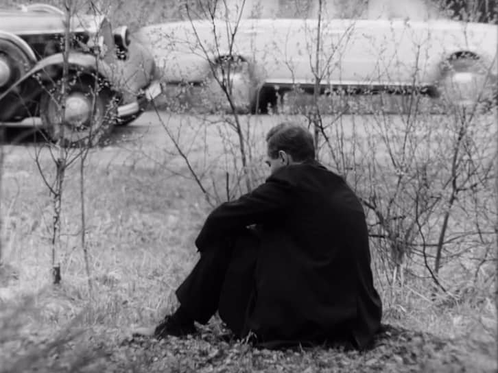 В заключительной сцене мимо сидящего на траве Штирлица проезжают «Жигули» ВАЗ-2101. Видимо, Победа была уже совсем близко