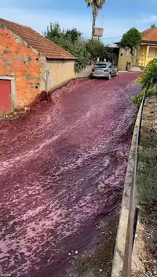 В винодельне небольшого португальского города Сан-Лоренсу-ду-Байру лопнули резервуары с вином. В результате 2,2 млн литров красного вина разлились по улицам