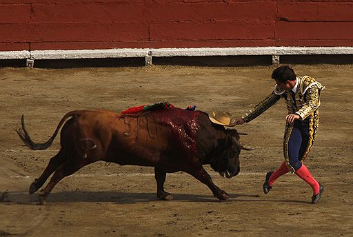 10.11.2008 Коррида на старой площади Plaza de Toros de Acho в Лиме