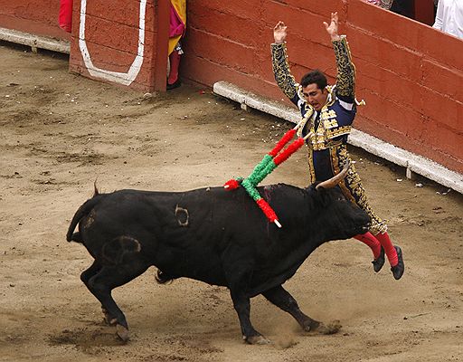 10.11.2008 Коррида на старой площади Plaza de Toros de Acho в Лиме