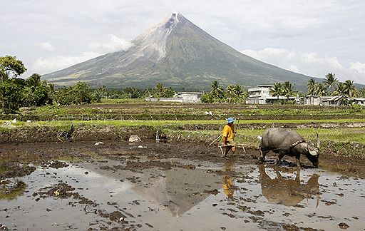 15.12.2009 На Филиппинах началось извержение вулкана Майон. К 16 декабря из близлежащих районов было эвакуировано уже более 50 тыс. человек