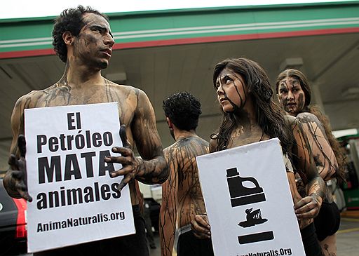22.07.2010 В Мексике (на фото) и Австрии защитники животных провели акции протеста против компании BP. На ее нефтяной платформе произошла авария, которая привела к экологической катастрофе в Мексиканском заливе