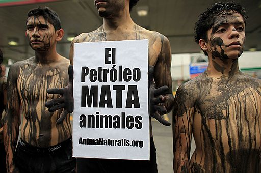 22.07.2010 В Мексике (на фото) и Австрии защитники животных провели акции протеста против компании BP. На ее нефтяной платформе произошла авария, которая привела к экологической катастрофе в Мексиканском заливе