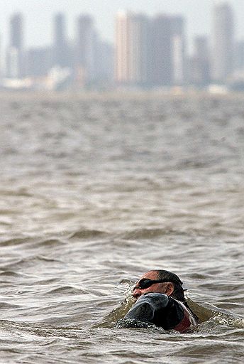 8 апреля 2007 года словенец Мартин Стрел стал первым человеком, который проплыл всю Амазонку от истока до устья. Он преодолел более 5268 км за 66 дней. До этого 52-летний рекордсмен покорил реки Янцзы, Миссисипи и Дунай. Заплыв в Амазонке был для него самым сложным, так как в реке водятся пираньи, крокодилы и анаконды