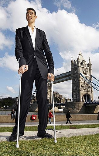 Самый высокий человек на Земле – турок Султан Косен. Его рост 246,5 см