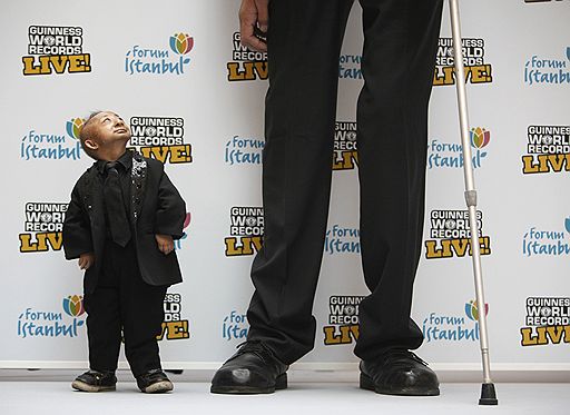 Самый маленький человек в мире китаец Хе Пингпинг ростом 73 см встретился 14 января 2010 года в Стамбуле с самым высоким человеком турком Султаном Косеном, рост которого 246,5 см