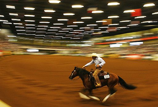 С 25 сентября по 10 октября в Лексингтоне (США) проходят Всемирные конные игры Оллтек, в рамках которых запланированы соревнования в различных категориях: пробеги, троеборье, конкур, вольтижировка, драйвинг, параолимпийские конные игры и т.п.