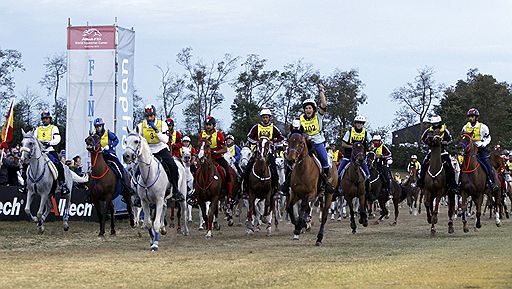 С 25 сентября по 10 октября в Лексингтоне (США) проходят Всемирные конные игры Оллтек, в рамках которых запланированы соревнования в различных категориях: пробеги, троеборье, конкур, вольтижировка, драйвинг, параолимпийские конные игры и т.п.