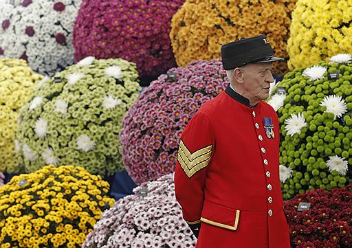 24.05.2011 В лондонском районе Челси открылось ежегодное шоу цветов. Ландшафтные дизайнеры представили свои лучшие работы
