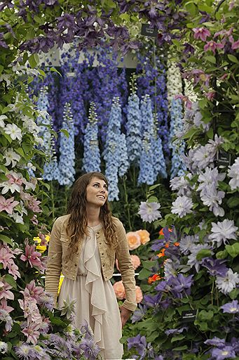 24.05.2011 В лондонском районе Челси открылось ежегодное шоу цветов. Ландшафтные дизайнеры представили свои лучшие работы