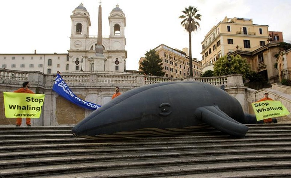 Защитники природы протестуют в Риме против китобойного промысла. 21 июня 2010 года