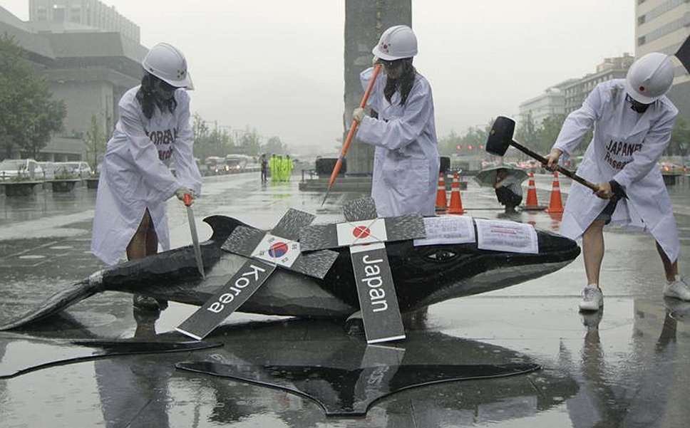 Защитники природы протестуют против планов Южной Кореи возобновить китобойный промысел. 6 июля 2012 года