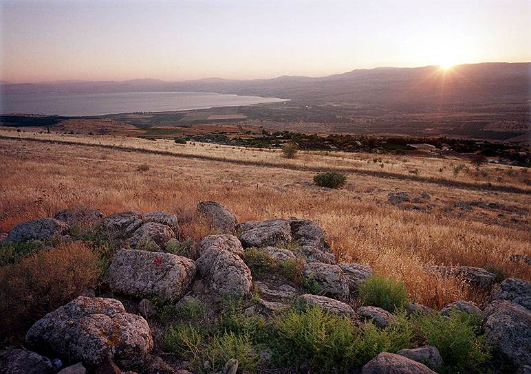 Площадь лесов в Израиле ежегодно увеличивается. С 1901 года в стране посажено около 240 млн деревьев, которые занимают 160 тыс. га. Израиль также занимает первое место по вторичному использованию воды — ее доля составляет 80%