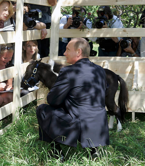 В 2005 году в Казани, где проходили международные соревнования по конному спорту, президент Татарстана Минтимер Шаймиев подарил Владимиру Путину карликовую лошадь. Маленького скакуна, рост которого едва превышает 50 см в холке, звали Чип, но затем стали называть Вадик. Он живет в резиденции Ново-Огарево