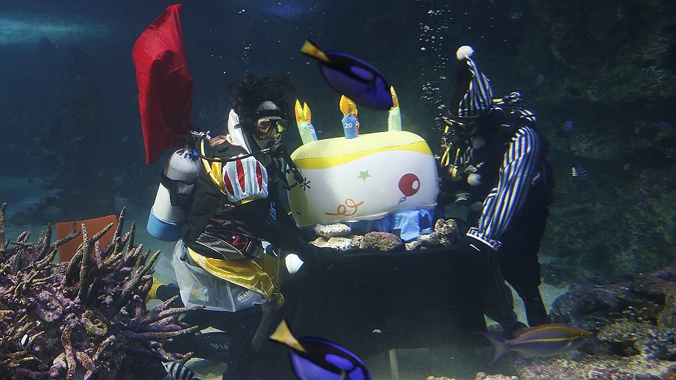 25 июня. Подводная вечеринка дайверов в Сиднее
