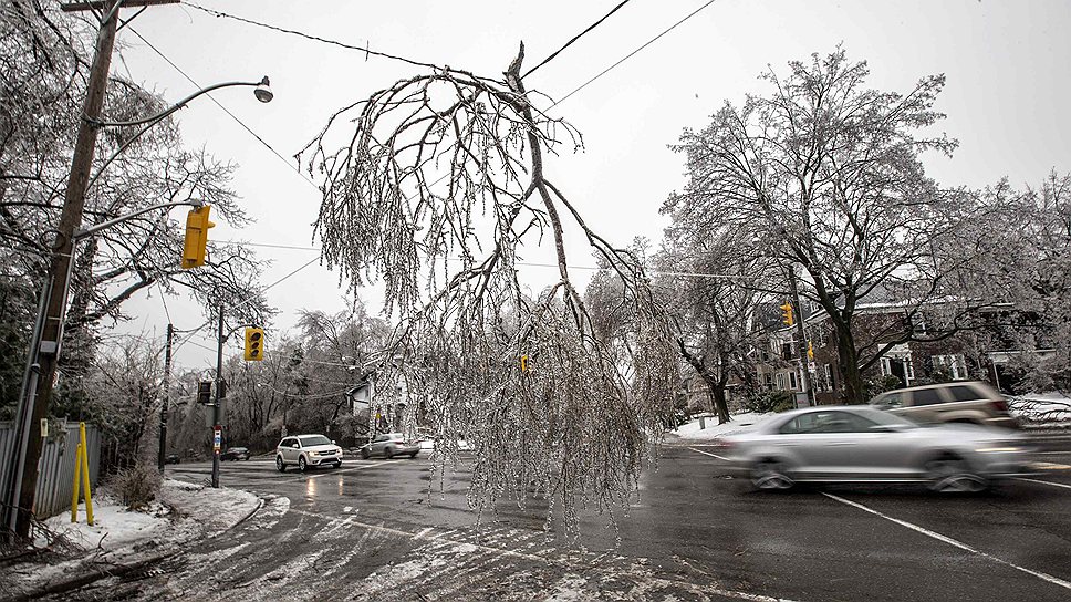 В Торонто 22 декабря было затруднено движение автомобилей. Под напором стихии падали деревья. Из-за обледенения линий электропередач они выходили из строя
