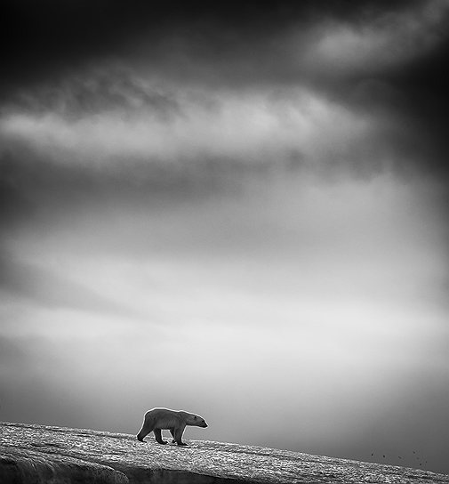 Автор фото Вильфред Бертхелсен (Норвегия)