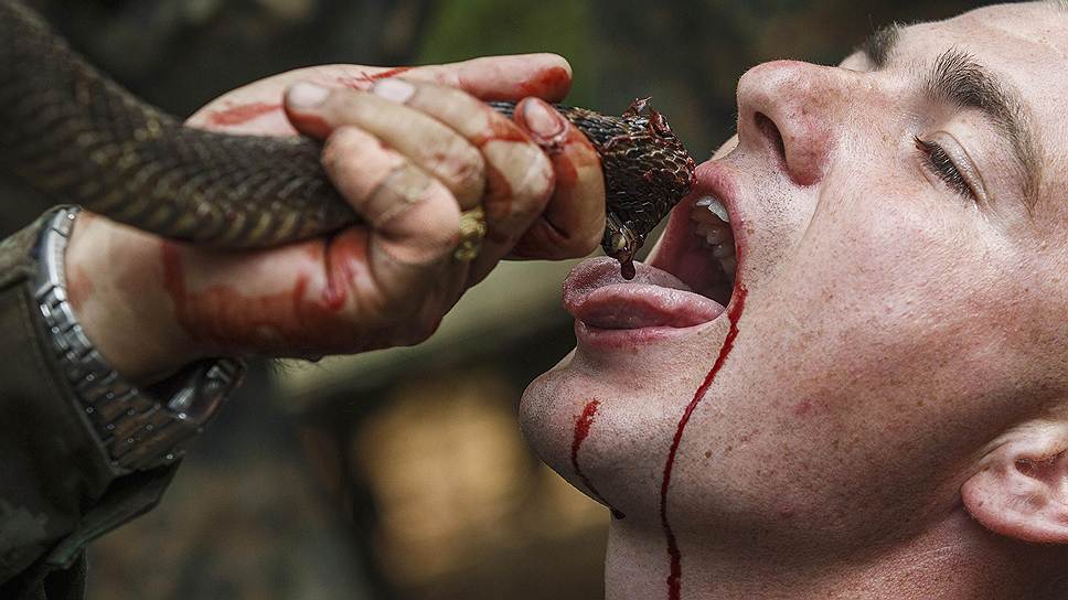 Американский морпех пьет кровь кобры во время тренировки по выживанию в джунглях на военной базе в Таиланде