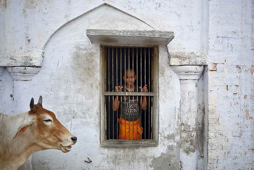 Мальчик в ашраме в штате Уттар-Прадеш, Индия