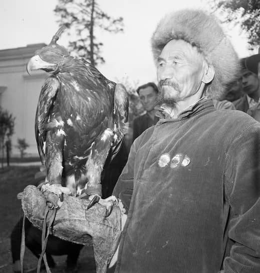 Охотник Исмаил Джиримбаев из колхоза имени Сталина Алма-Атинской области со своим беркутом, 1954 год