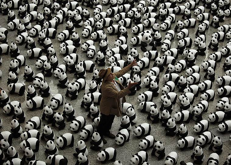 Французский художник Пауло Гранжеон среди панд из папье-маше, являющихся частью его инсталляции «1600 панд» в Гонконге