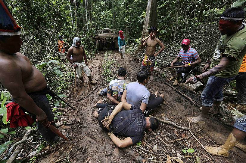 В лесах Амазонки идет настоящая война коренных индейцев против мародеров-лесорубов