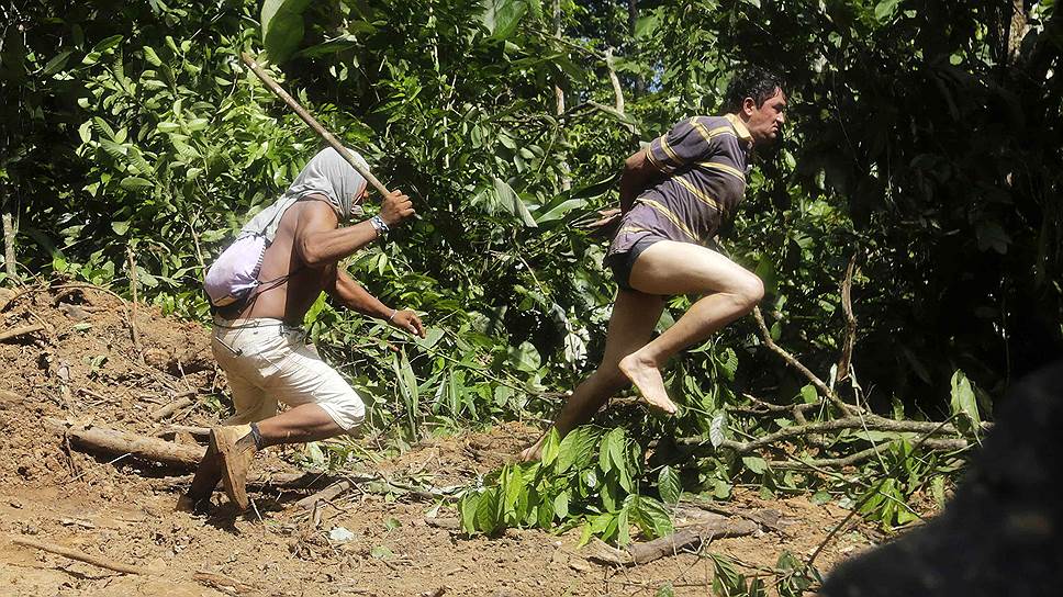Племена объединяют усилия в борьбе с незаконной вырубкой лесов 