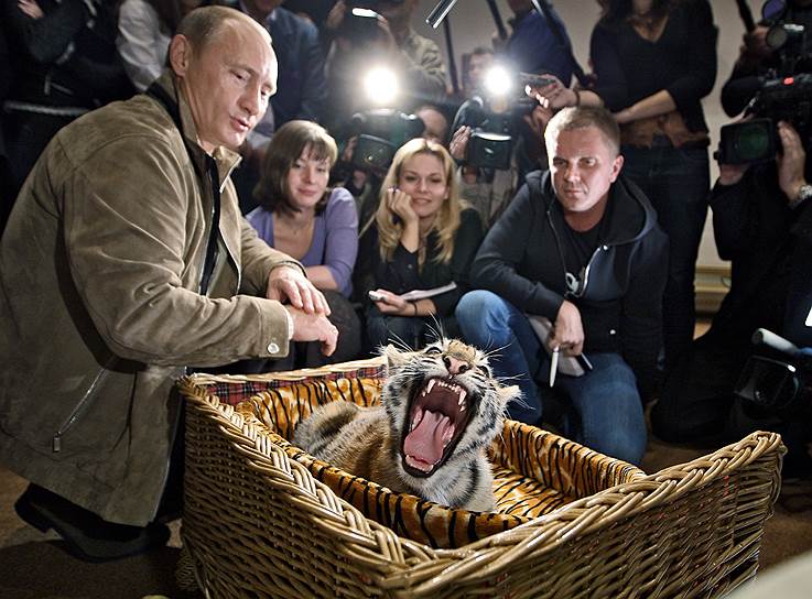 В 2008 году на день рождения господину Путину подарили уссурийского тигренка. Некоторое время питомица президента жила в Ново-Огарево, а потом переехала в зоопарк в Геленджике. Имя дарителя не называлось