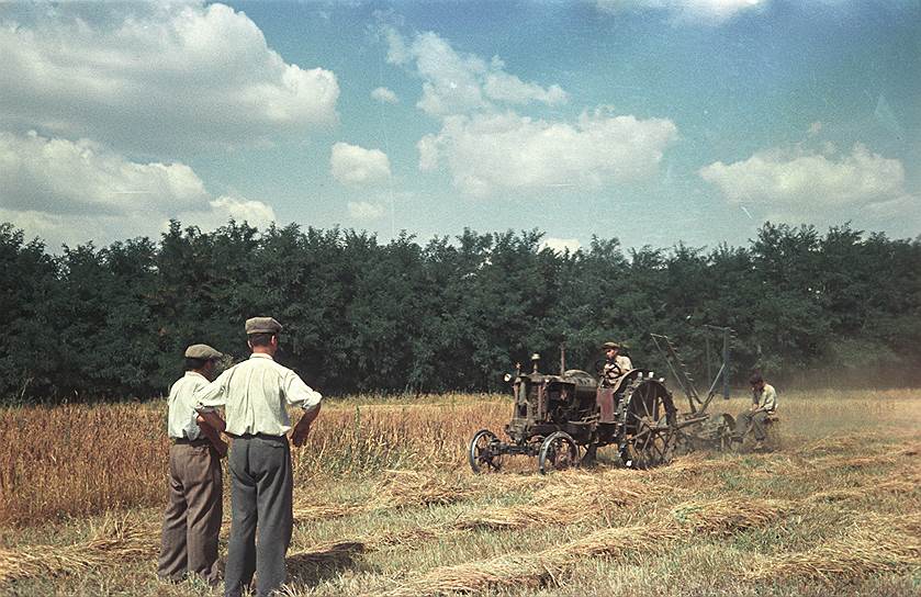 1929 год. ЦК ВКП(б) официально провозгласил сплошную коллективизацию
