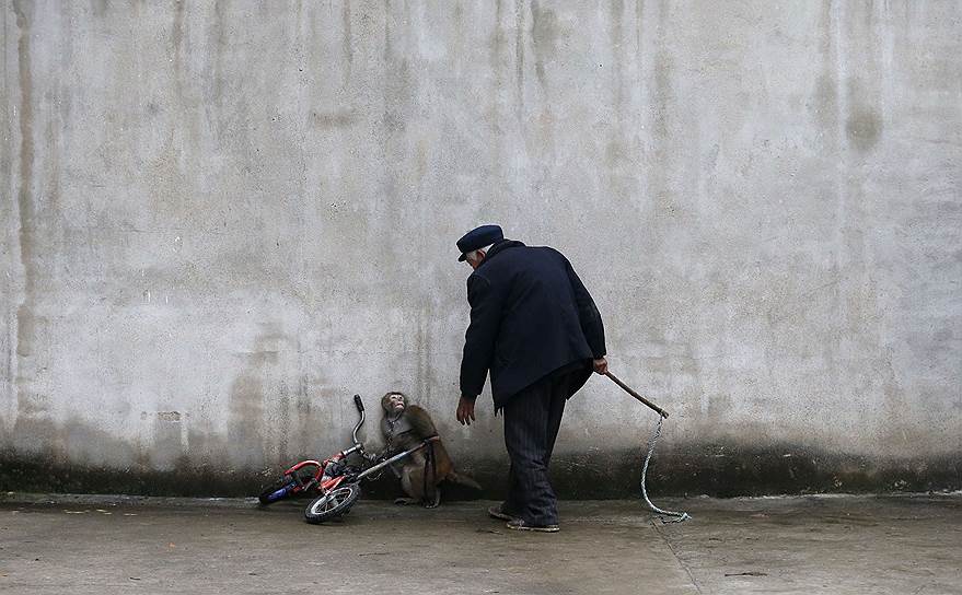 Сучжоу, Китай. Дрессировщик обезьян в местном цирке
