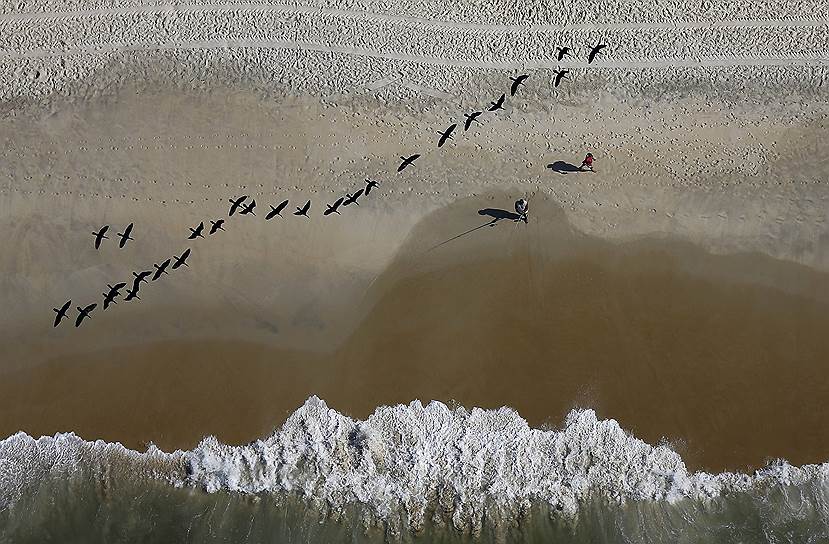Рио-де-Жанейро, Бразилия. Рыбаки и птицы на пляже Сан-Конраду