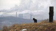 Парниковые газы взяли на учет