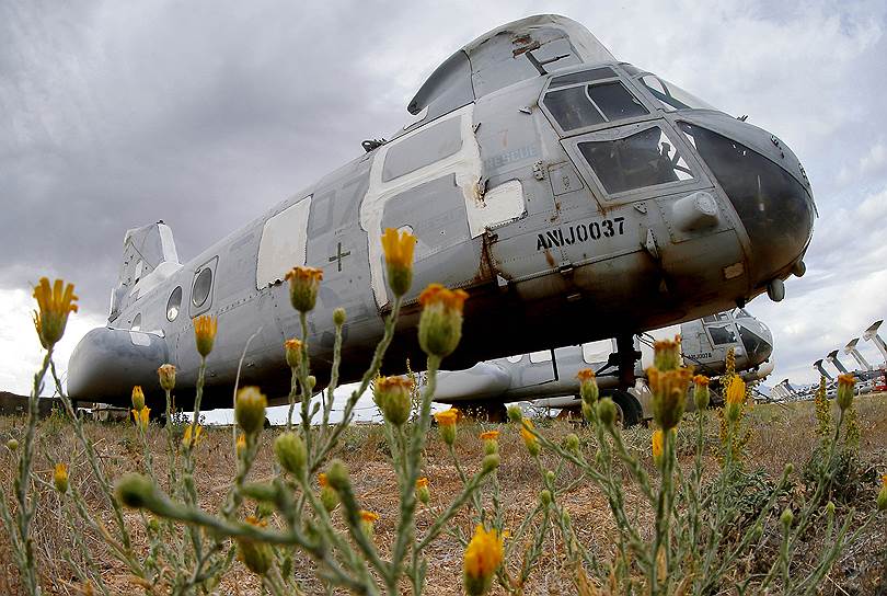 На фото гражданский и военно-транспортный вертолет Boeing Vertol CH-46 Sea Knight. Именно этот вертолет совершил последнюю миссию во время войны во Вьетнаме: 30 апреля 1975 года он вывез 11 американцев из посольства США в Сайгоне