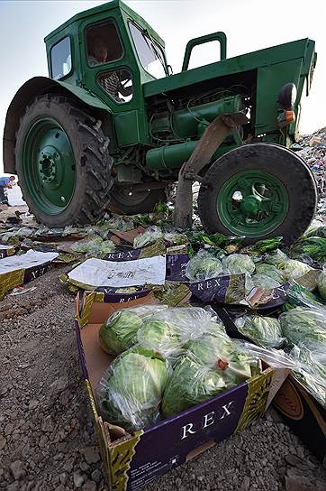 6 августа. Вступление в силу указа президента об уничтожении санкционной продукции
