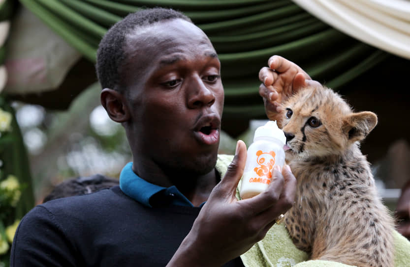 В 2009 года Усейн Болт посетил Кению, где взял под патронаж трехмесячного гепарда, родителей которого убили браконьеры. Спортсмен назвал хищника Молнией и заплатил за него $13,7 тыс. Ежегодное содержание гепарда в приюте для животных в Найроби обходится спортсмену в $3 тыс.